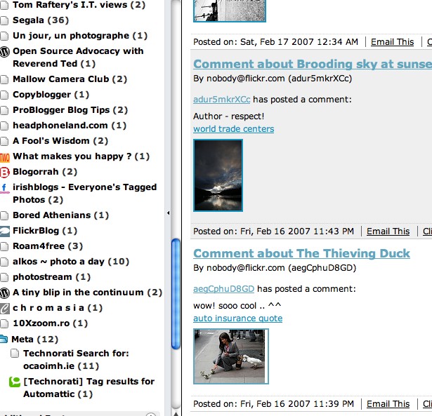 flickr-spam.jpg