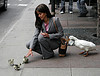 thieving_duck.jpg