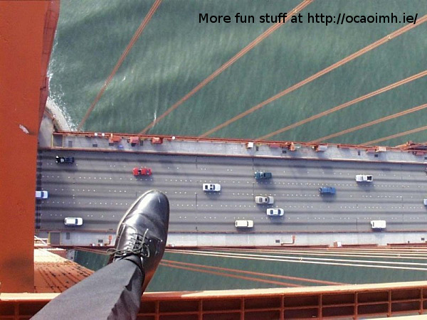 view_from_the_top.jpg