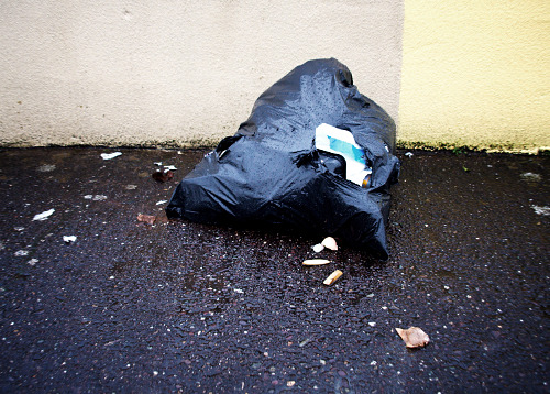 litter warden