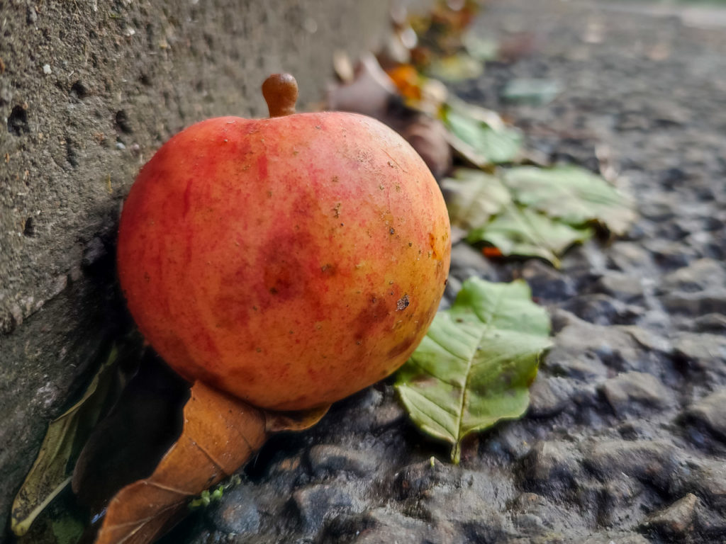 An apple on the side of the road