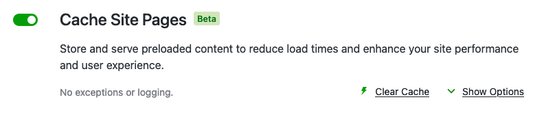 Screenshot from the Jetpack Boost settings page.
It shows the "Cache Site Pages" module, with a checkbox to enable.
Text says, "Store and serve preloaded content to reduce load times and enhance your site performance and user experience."
"No exceptions of logging"

A link says, "Clear Cache" and there's a down arrow with another link saying, "Show Options"