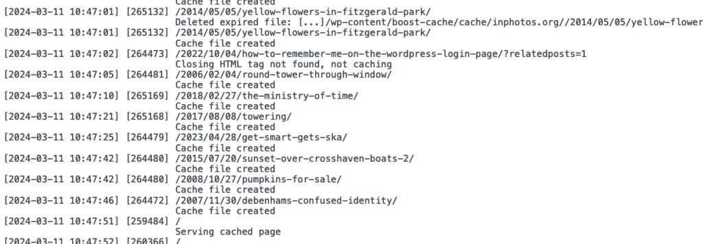 Output from the logging feature of the plugin shouwing date, pid, URL and description.