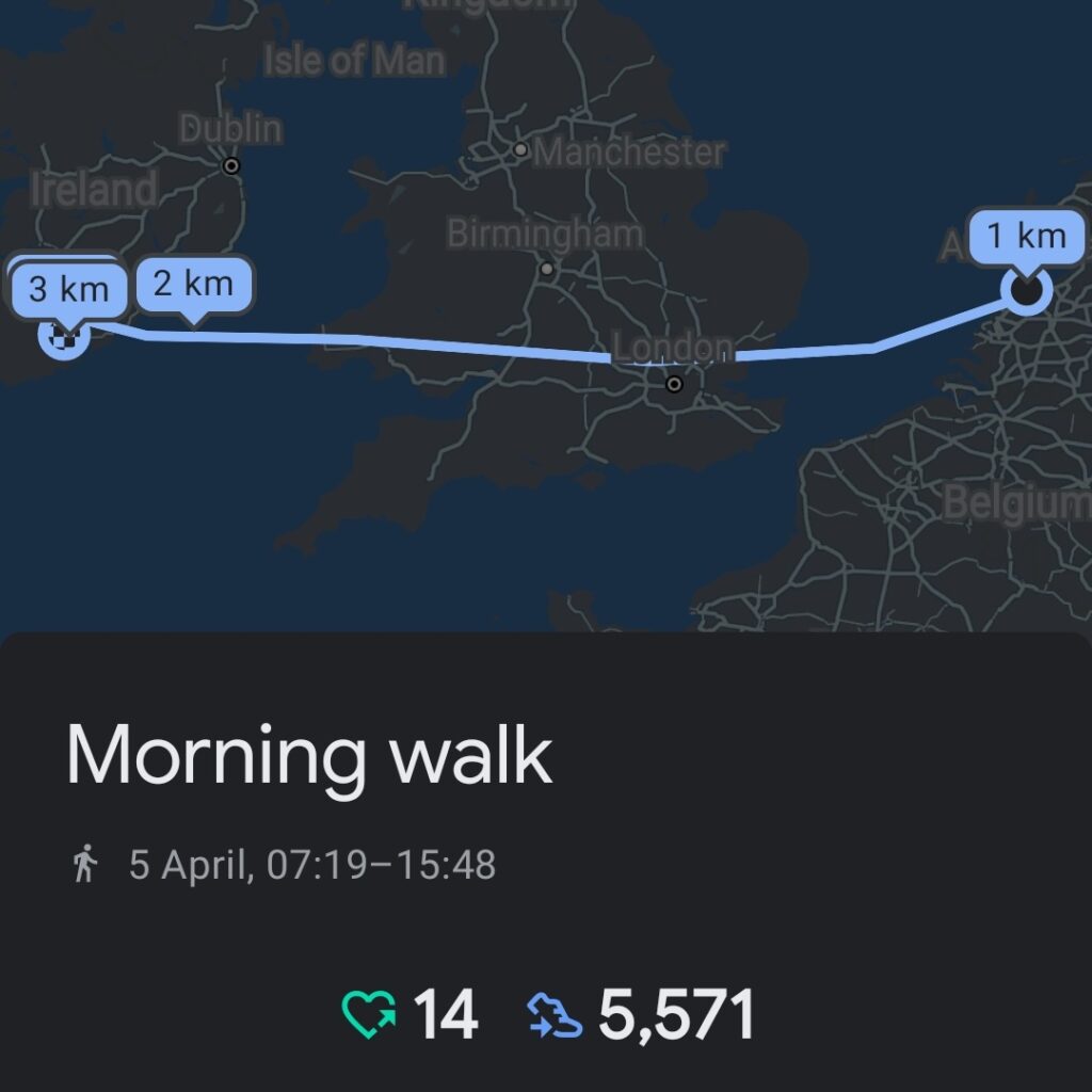 A screenshot of Google Fit showing the path from Amsterdam to Cork as the app recorded it.
The text "Morning walk" is below, showing a I did 14 heart points and 5,571 steps during the flight.