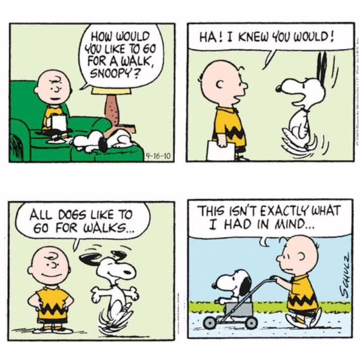 A four-panel Peanuts comic strip. Panel 1: Charlie Brown sits on a couch next to Snoopy and asks, "How would you like to go for a walk, Snoopy?" Panel 2: Snoopy excitedly jumps up and Charlie says, "Ha! I knew you would!" Panel 3: Charlie Brown and Snoopy stand outside as Charlie reflects, "All dogs like to go for walks..." while Snoopy dances excitedly. Panel 4: Charlie is pushing Snoopy along in a buggy as he says, "This isn't exactly what I had in mind..."